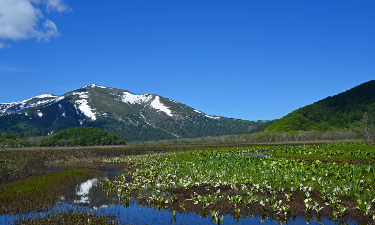 片品村 尾瀬の風景